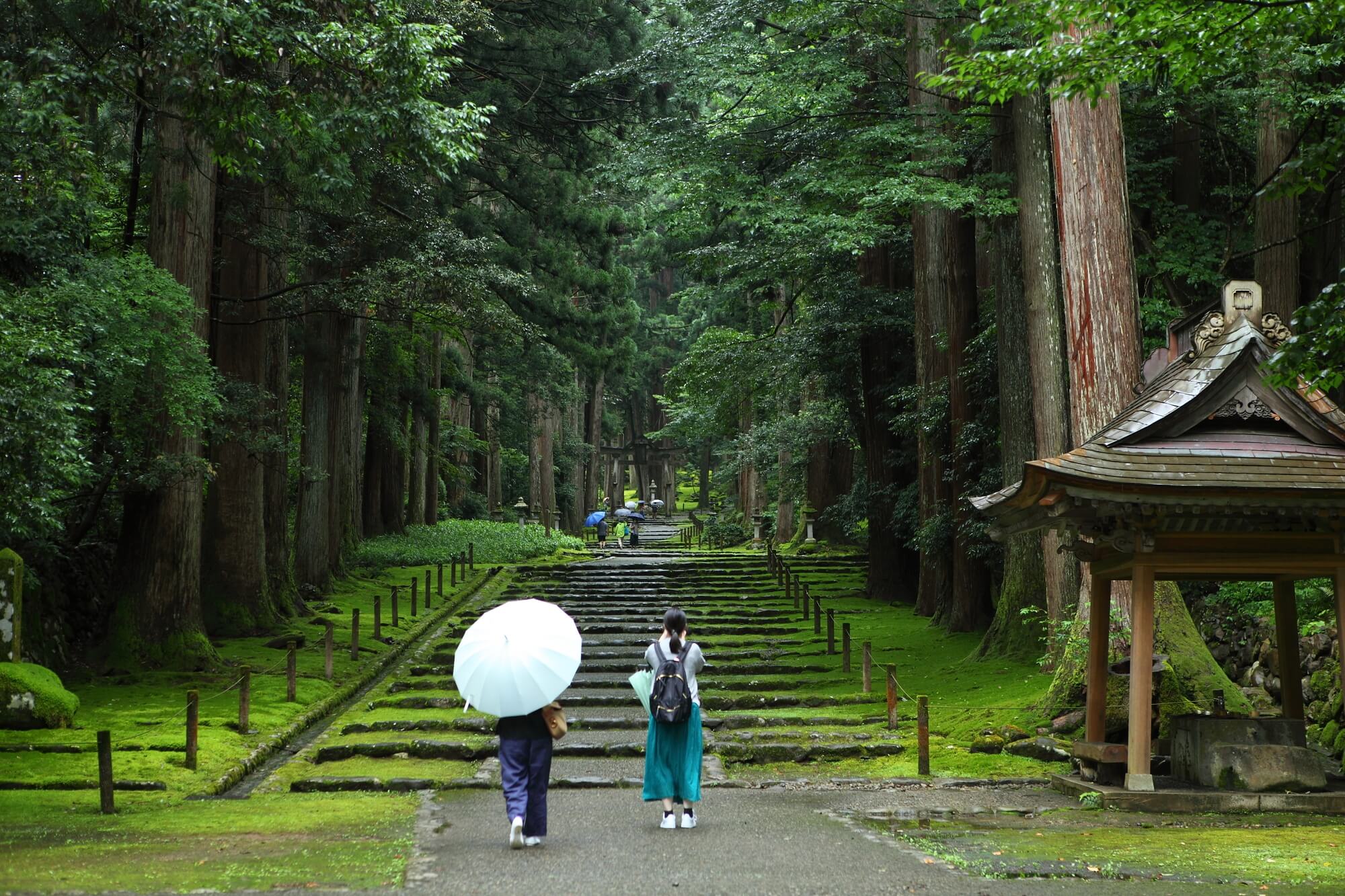雨の日も遊べる福井の室内ドッグラン4選